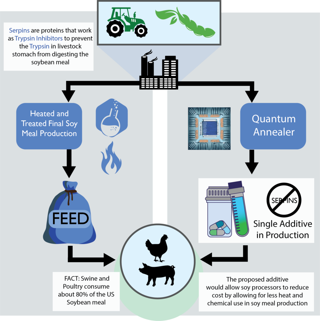 The graphic shows the way that POLARISqb uses a quantum annealer to find a production additive that will block Serpins, making animal feed much more efficient.